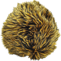 Igel braun Kuscheltier 17 cm lang von Carl Dick 2