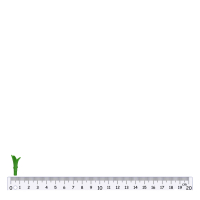 PLAYMOBIL® Pflanzen Stiel 30238420 2